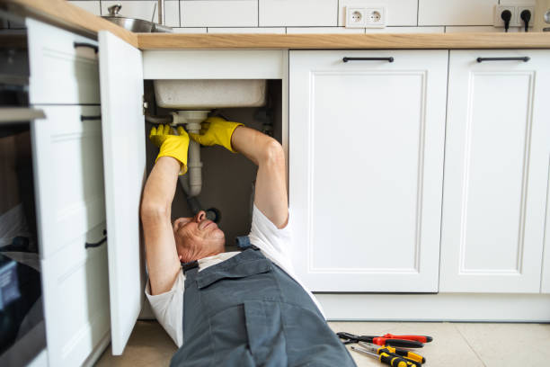 Best Plumbing Inspection Services  in Wellman, IA