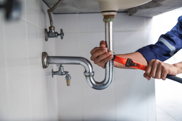 Best Commercial Plumbing Services  in Wellman, IA